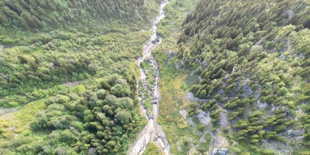 Türkiye turizminin yeni yıldızı! Sodalı suyu ayrı, yaylaları ayrı cezbediyor: Artık herkes bu noktaya akın ediyor 4
